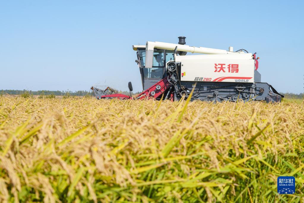 专业菠菜导航官网
